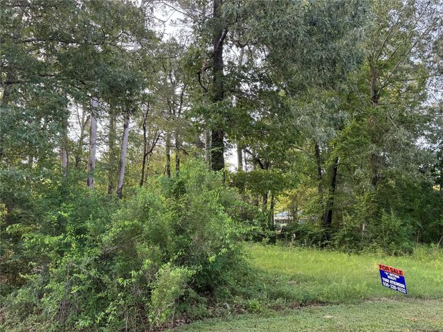 TBD Antilles Drive, Point Blank, TX 77364