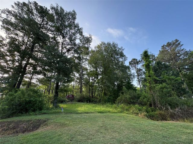 TBD Antilles Drive, Point Blank, TX 77364