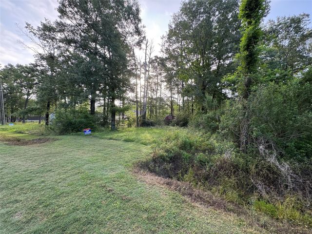 TBD Antilles Drive, Point Blank, TX 77364