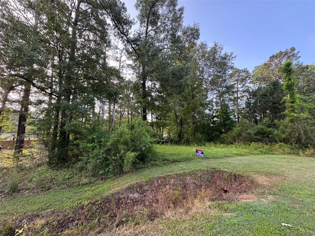 TBD Antilles Drive, Point Blank, TX 77364