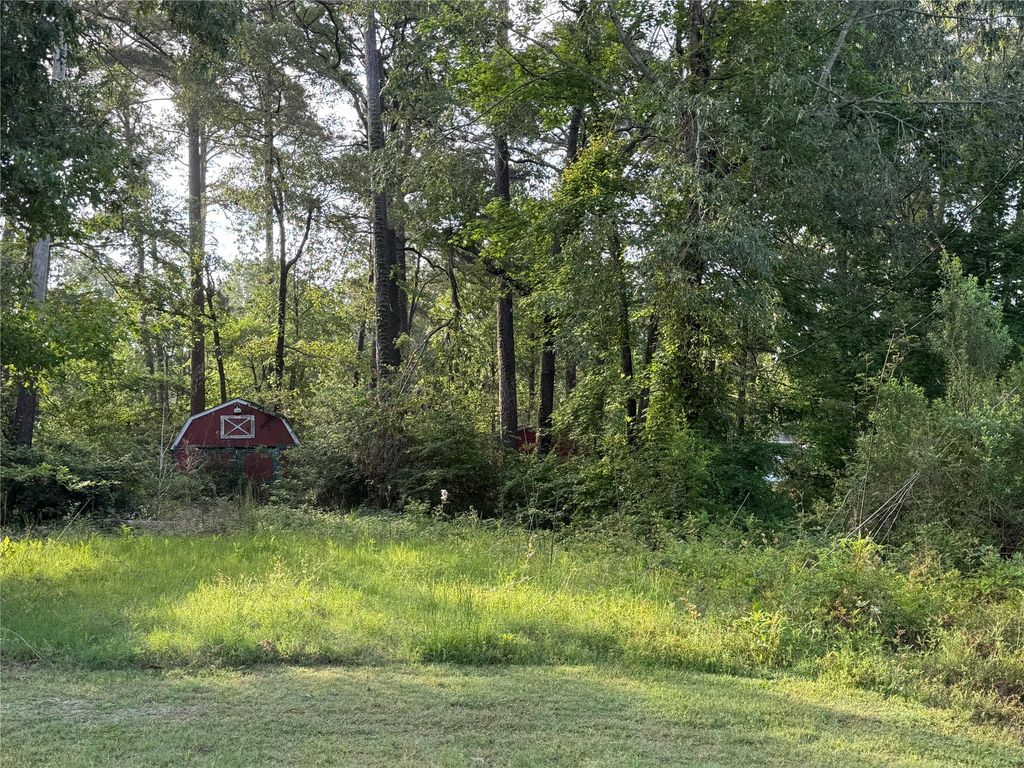 TBD Antilles Drive, Point Blank, TX 77364