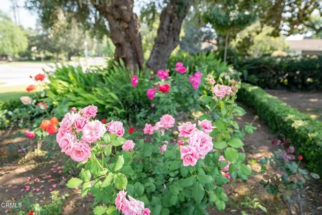 685 Chester Avenue, San Marino, CA 91108