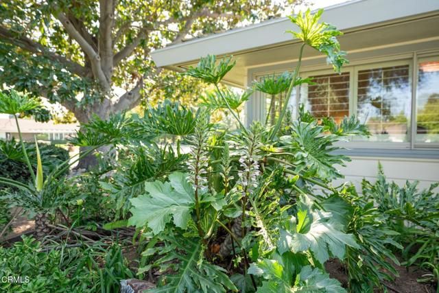 685 Chester Avenue, San Marino, CA 91108