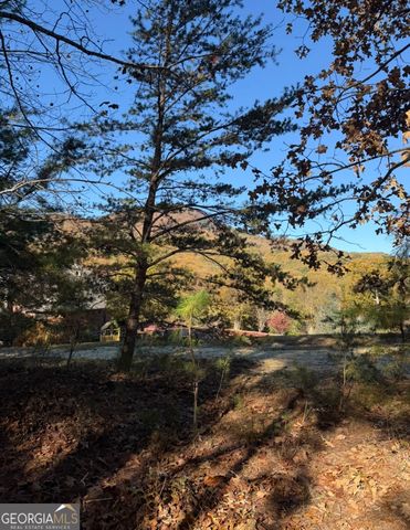 0 Duncan Bridge Road, Cleveland, GA 30528