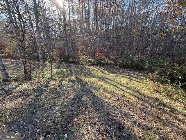 0 Duncan Bridge Road, Cleveland, GA 30528