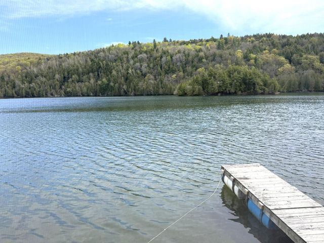 1338 Eligo Lake Road, Greensboro, VT 05841