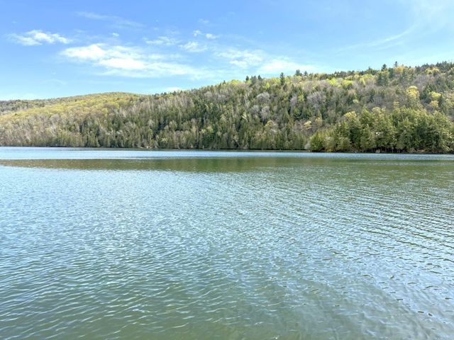 1338 Eligo Lake Road, Greensboro, VT 05841