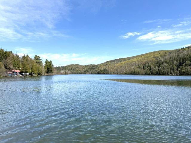 1338 Eligo Lake Road, Greensboro, VT 05841