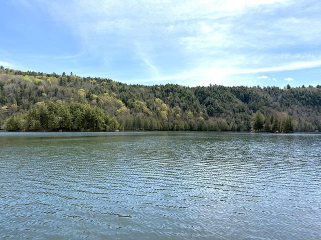 1338 Eligo Lake Road, Greensboro, VT 05841
