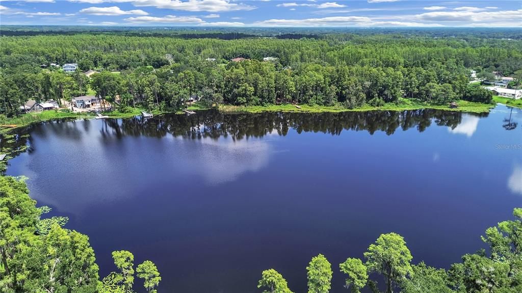 407 2ND AVENUE SE, Lutz, FL 33549