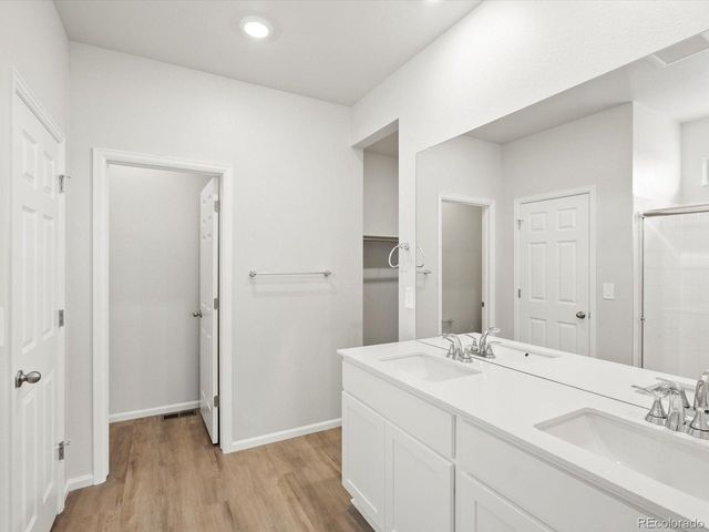 1242 Spring Creek Dr, Windsor, CO 80550