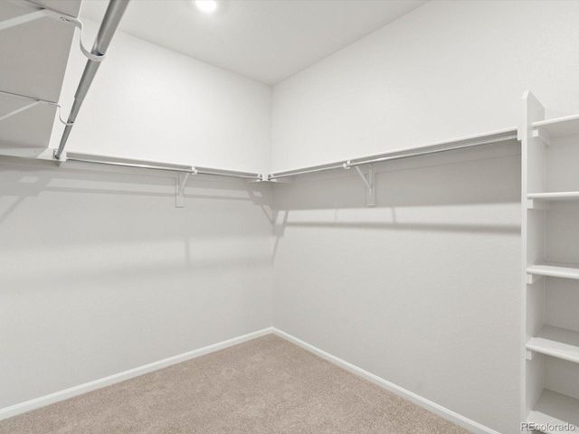 1242 Spring Creek Dr, Windsor, CO 80550