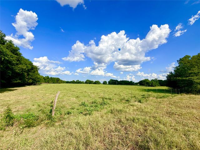 TBD CR 2145, Cooper, TX 75432