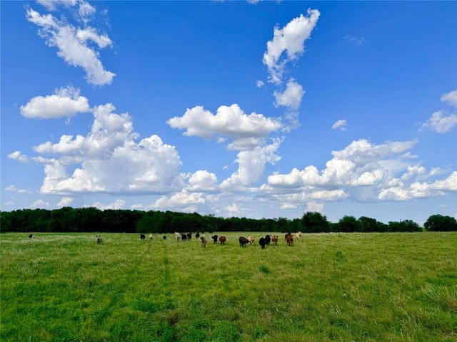 TBD CR 2145, Cooper, TX 75432