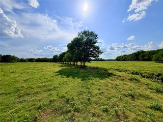 TBD CR 2145, Cooper, TX 75432