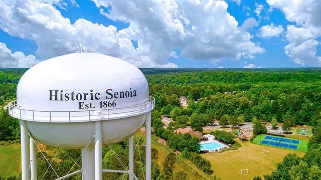 400 Staffin Drive, Senoia, GA 30276