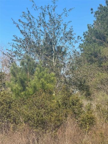 417 County Road 3546, Cleveland, TX 77327