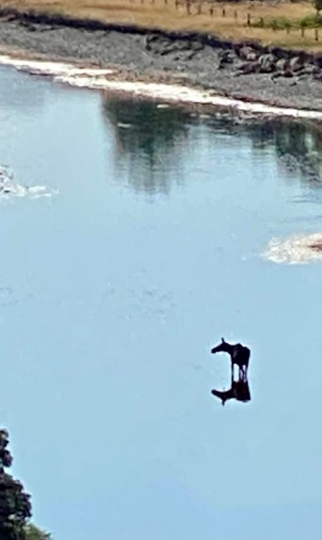 915 Point Of Rocks Road, Whitehall, MT 59759 photo 86