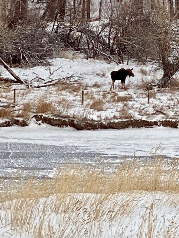 915 Point Of Rocks Road, Whitehall, MT 59759 photo 88