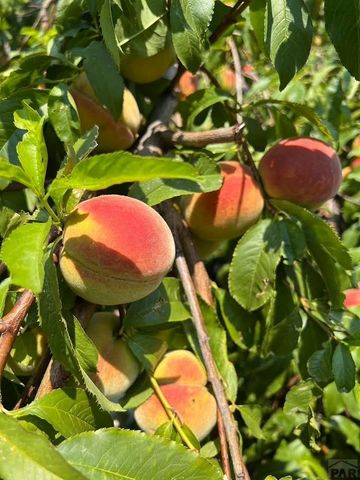 417 Greenwood Ave, Canon City, CO 81212