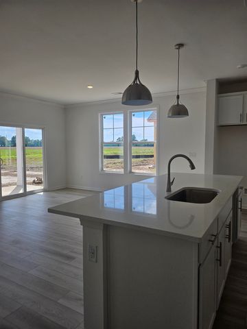157 River Birch Dr., Loris, SC 29569