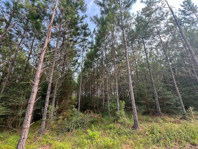 1 Cody Road, Livingston, TX 77351