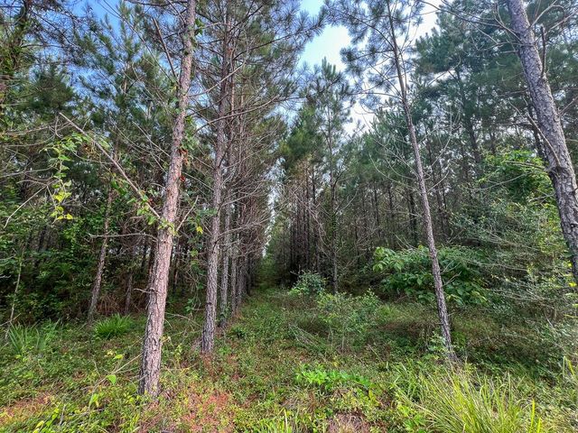 1 Cody Road, Livingston, TX 77351