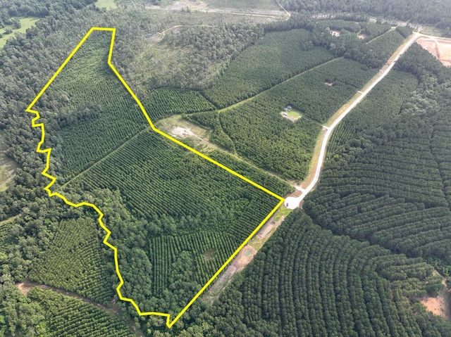 1 Cody Road, Livingston, TX 77351