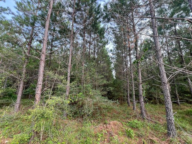 1 Cody Road, Livingston, TX 77351