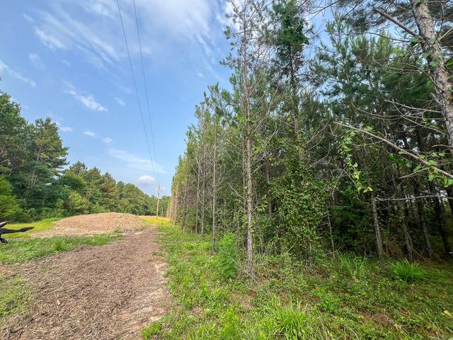 1 Cody Road, Livingston, TX 77351