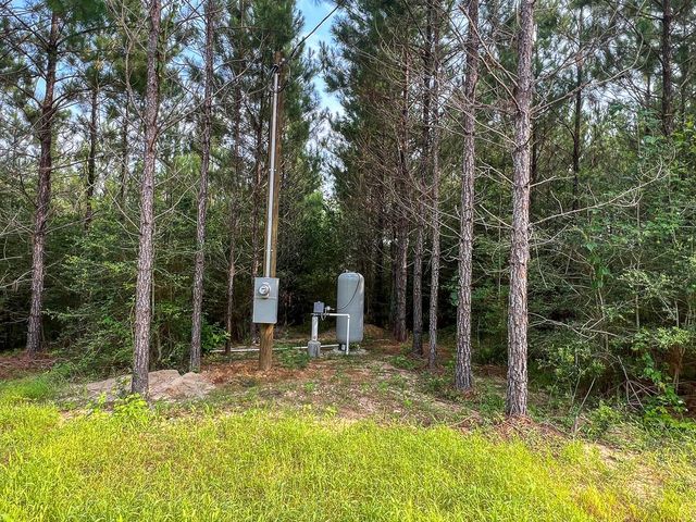 1 Cody Road, Livingston, TX 77351