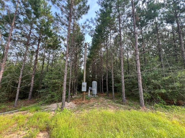 1 Cody Road, Livingston, TX 77351