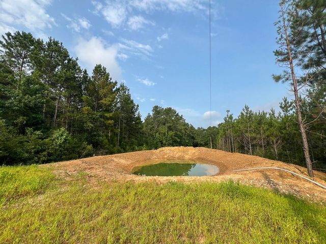 1 Cody Road, Livingston, TX 77351