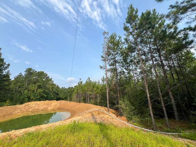 1 Cody Road, Livingston, TX 77351