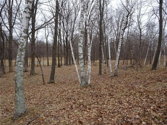 900 270th Avenue, Luck, WI 54853