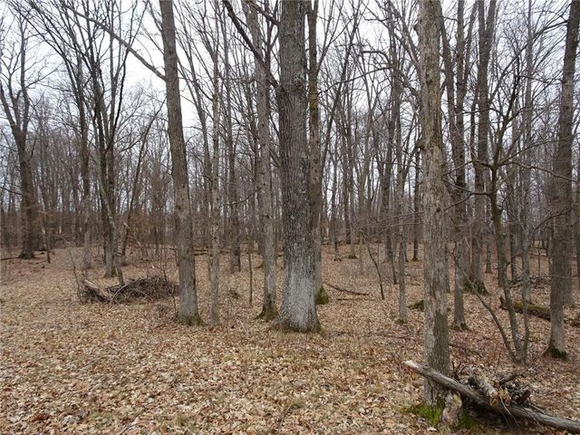 900 270th Avenue, Luck, WI 54853