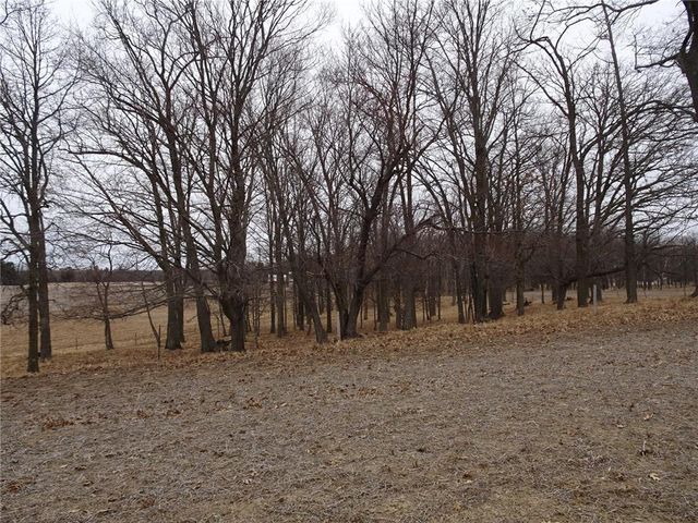 900 270th Avenue, Luck, WI 54853