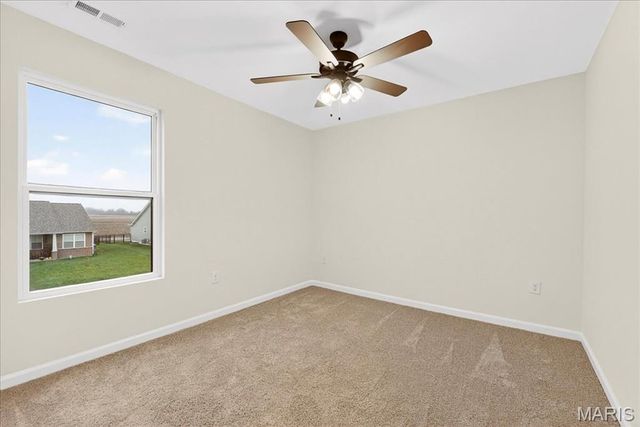 421 Chamberlain, Troy, IL 62294