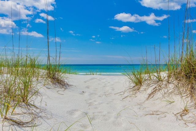 337 S Bridge Lane 312B, Watersound, FL 32461