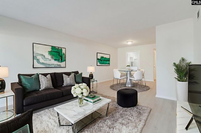 1208 Bush River Road P2, Columbia, SC 29210