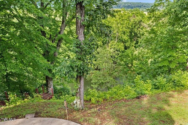1594 Christian Bend Road, Church Hill, TN 37642