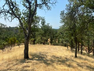 63 Little Oak Lane, Cottonwood, CA 96022
