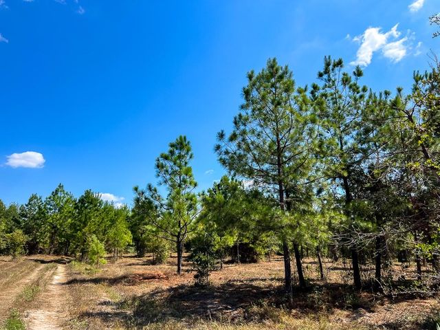 1 Murray Lane, Huntsville, TX 77320