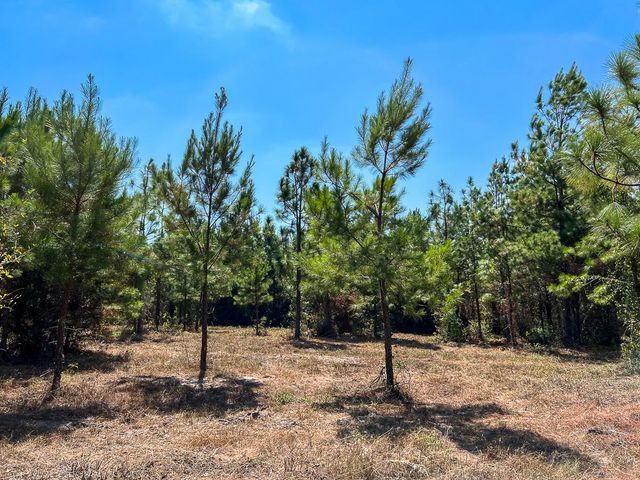 1 Murray Lane, Huntsville, TX 77320
