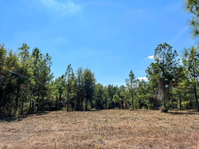 1 Murray Lane, Huntsville, TX 77320