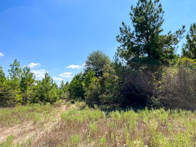 1 Murray Lane, Huntsville, TX 77320