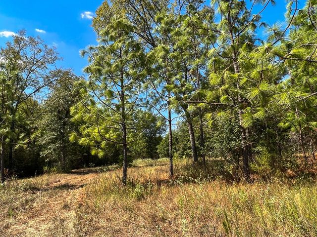 1 Murray Lane, Huntsville, TX 77320