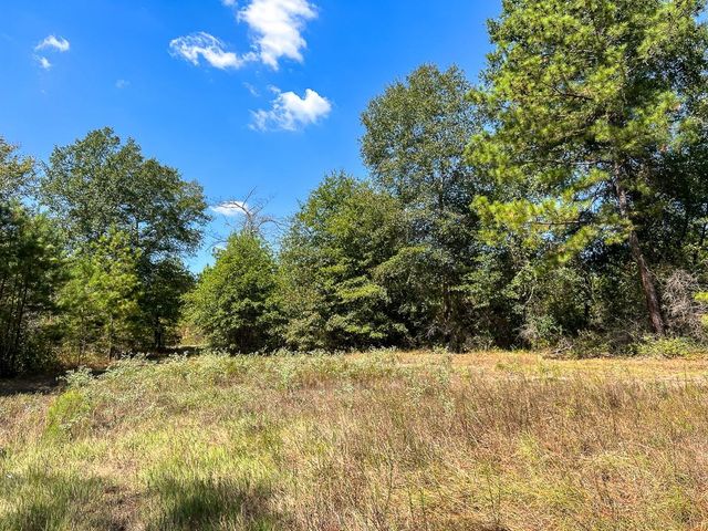 1 Murray Lane, Huntsville, TX 77320