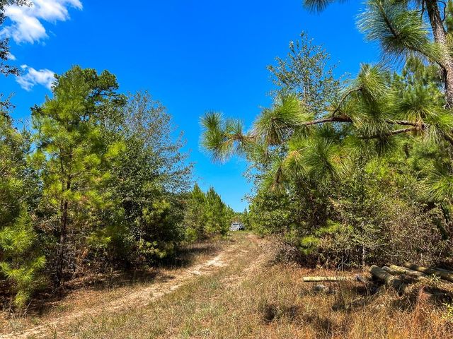 1 Murray Lane, Huntsville, TX 77320