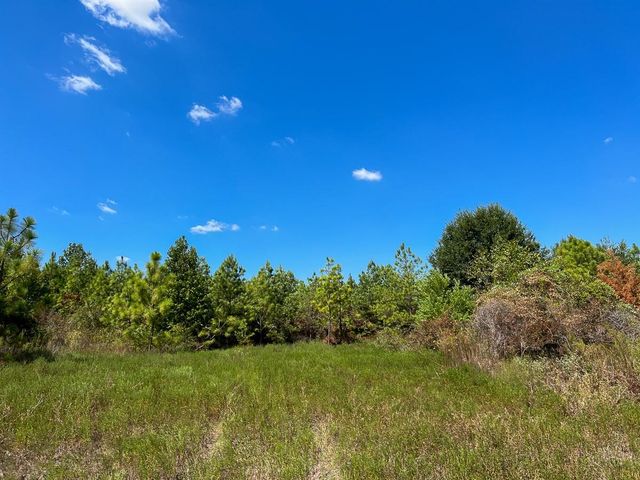 1 Murray Lane, Huntsville, TX 77320